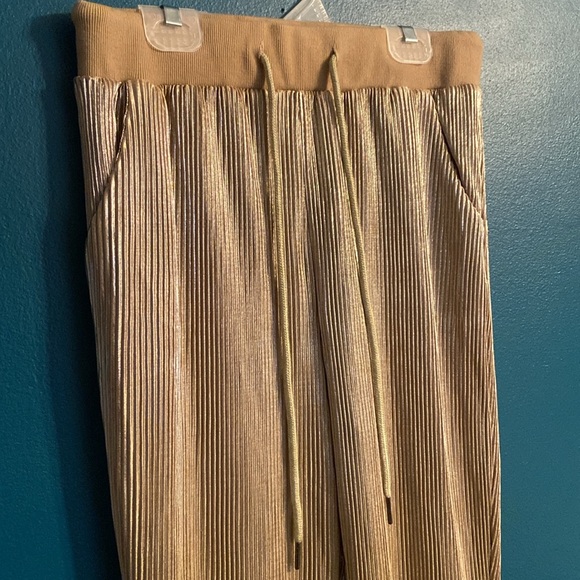 ⭐️ Know. One. Cares Gold Jogger Pants - Picture 3 of 11